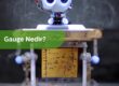 Gauge Nedir? Gage Nedir?
